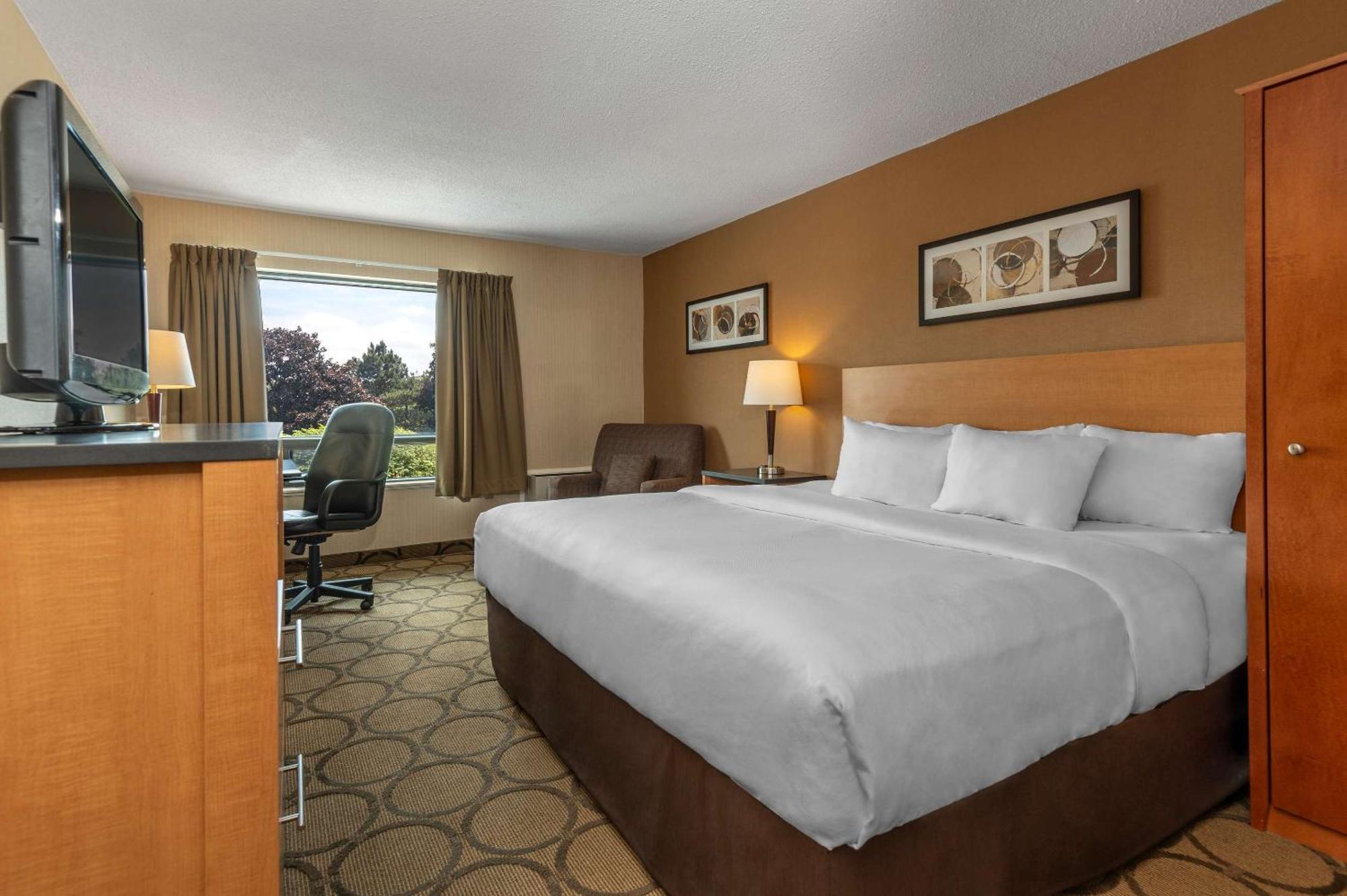 Comfort Inn Campbellton Εξωτερικό φωτογραφία
