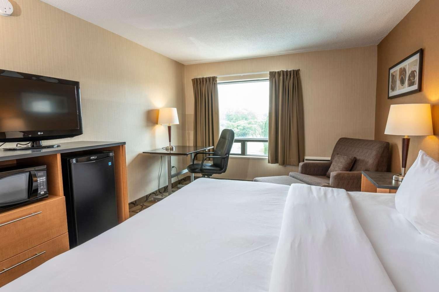 Comfort Inn Campbellton Εξωτερικό φωτογραφία